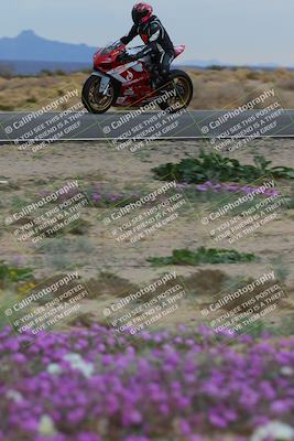 media/Jan-14-2023-SoCal Trackdays (Sat) [[497694156f]]/Turn 14 Exit Bloomig (145pm)/